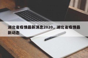 湖北省疫情最新消息2020，湖北省疫情最新动态