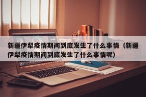 新疆伊犁疫情期间到底发生了什么事情（新疆伊犁疫情期间到底发生了什么事情呢）