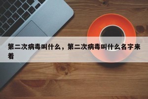 第二次病毒叫什么，第二次病毒叫什么名字来着